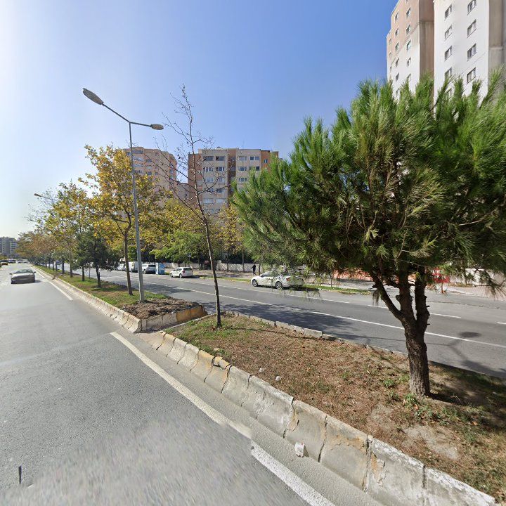 Fotoğraf 13