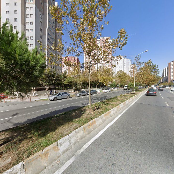 Fotoğraf 14