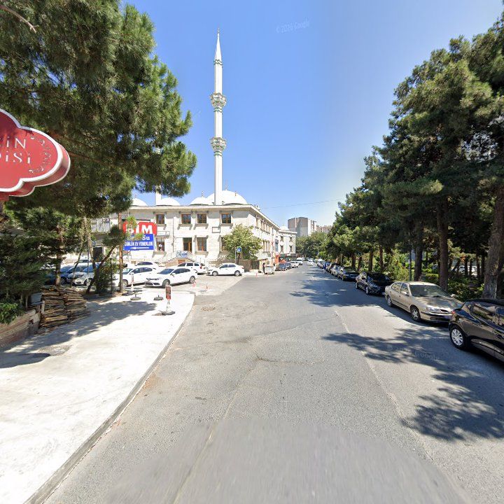 Fotoğraf 9