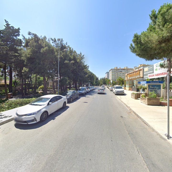Fotoğraf 11