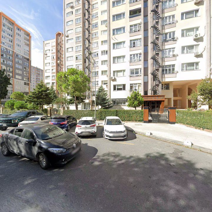 Fotoğraf 12