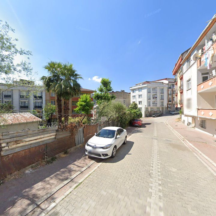 Fotoğraf 10