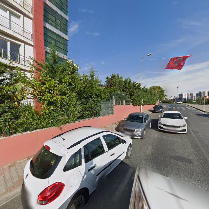 Fotoğraf 11