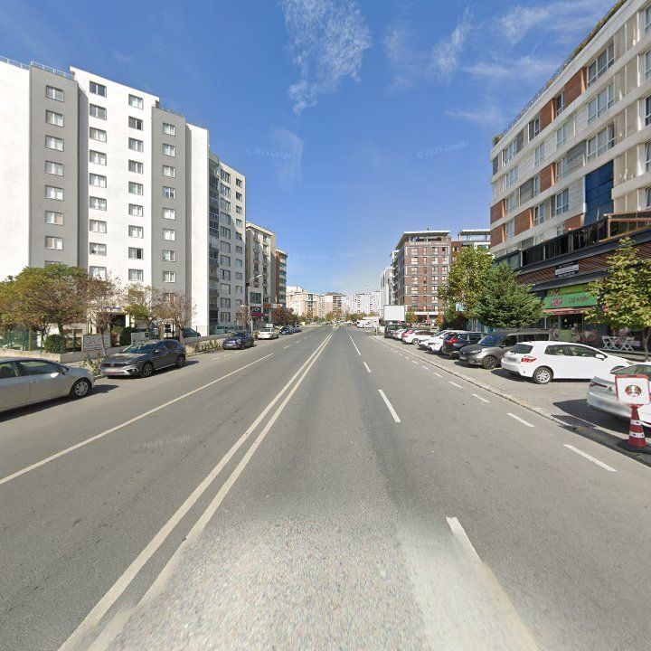 Fotoğraf 13