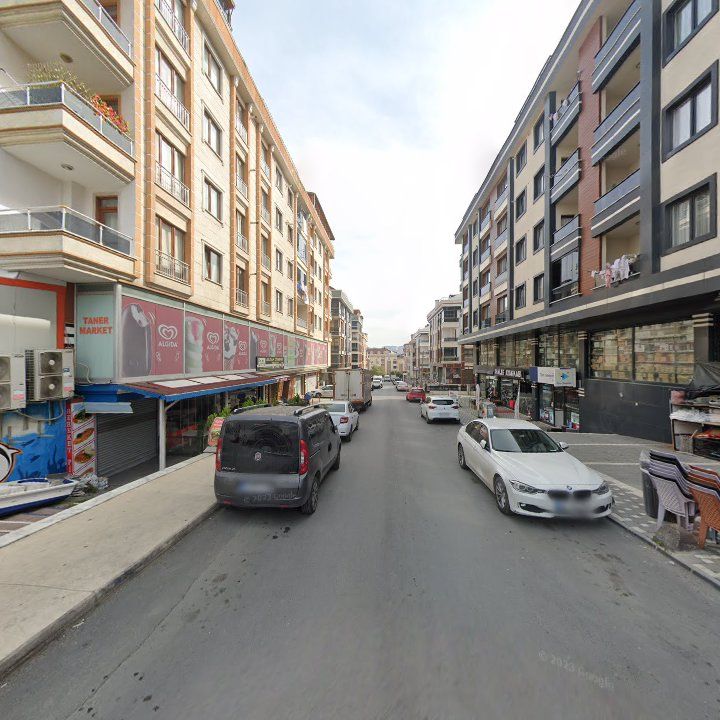 Fotoğraf 10