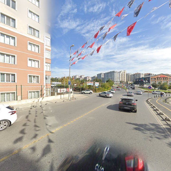 Fotoğraf 10