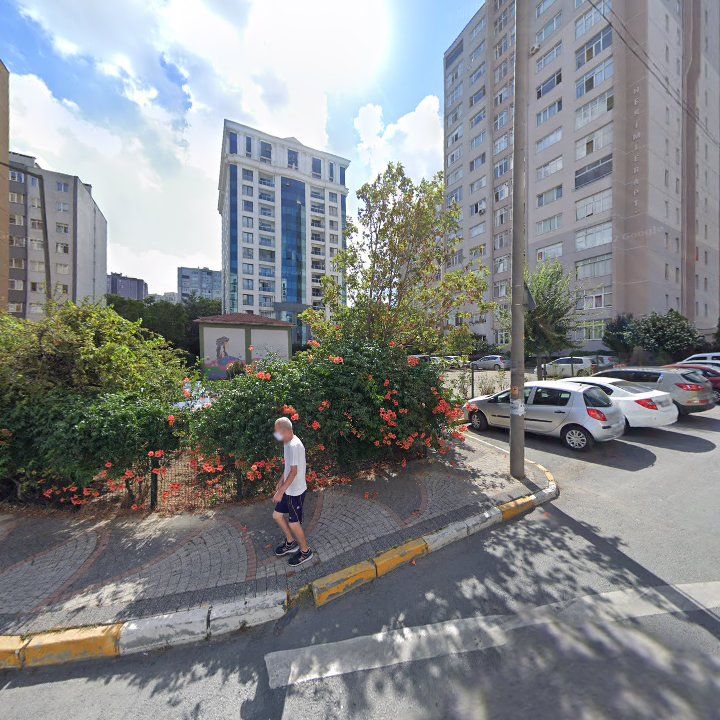 Fotoğraf 10