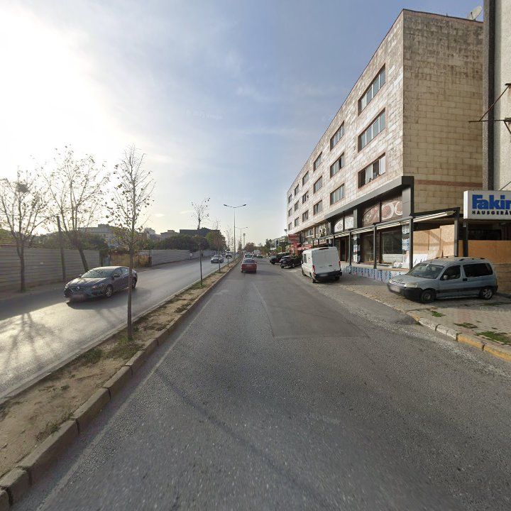 Fotoğraf 10