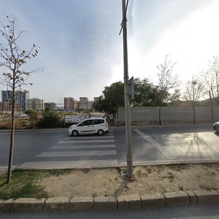 Fotoğraf 9