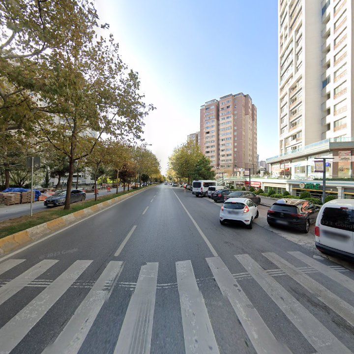 Fotoğraf 12