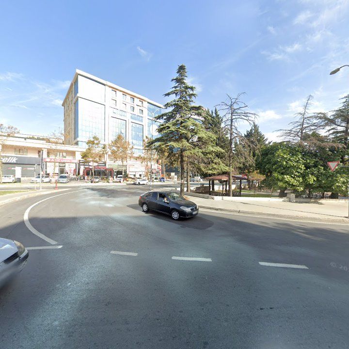Fotoğraf 11