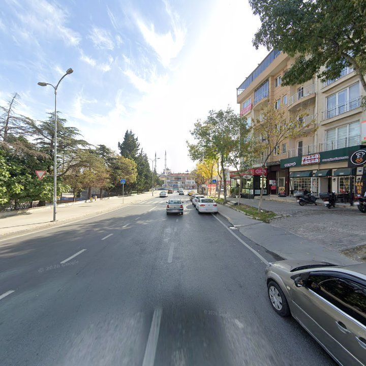 Fotoğraf 12