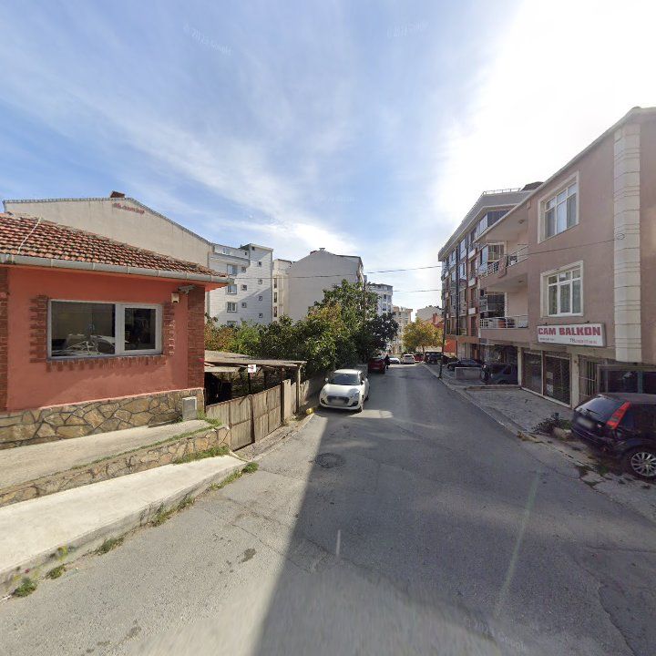 Fotoğraf 9