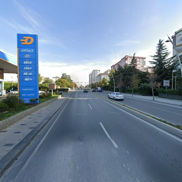 Fotoğraf 13