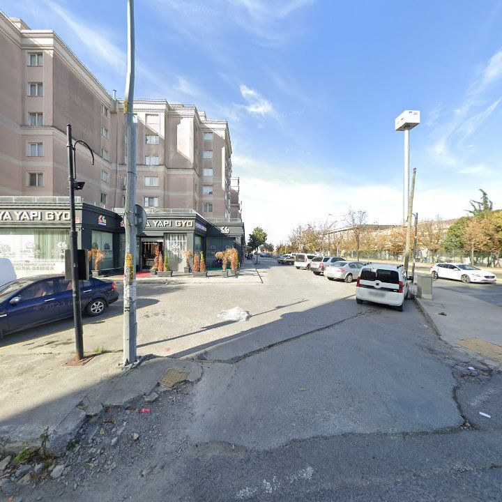 Fotoğraf 11