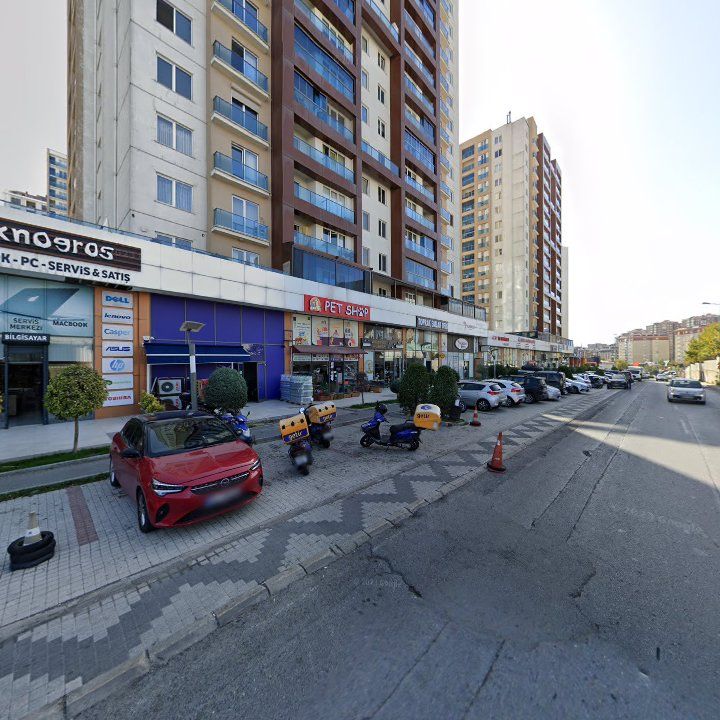 Fotoğraf 9