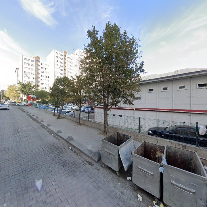Fotoğraf 12