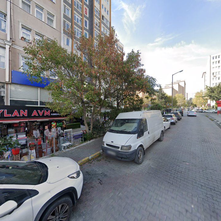 Fotoğraf 11