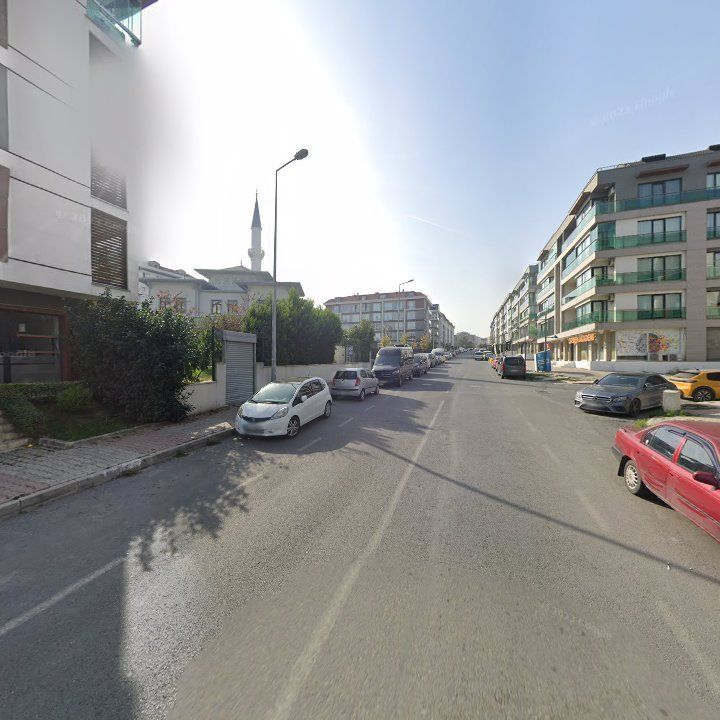 Fotoğraf 7