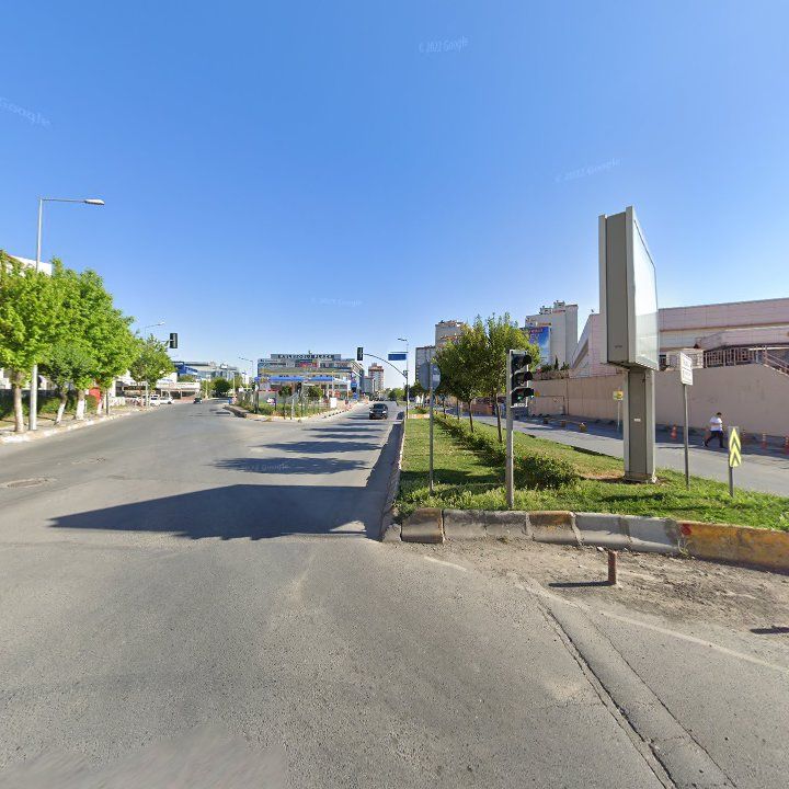 Fotoğraf 12