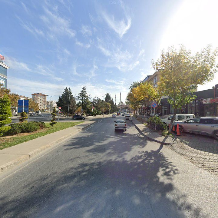 Fotoğraf 17