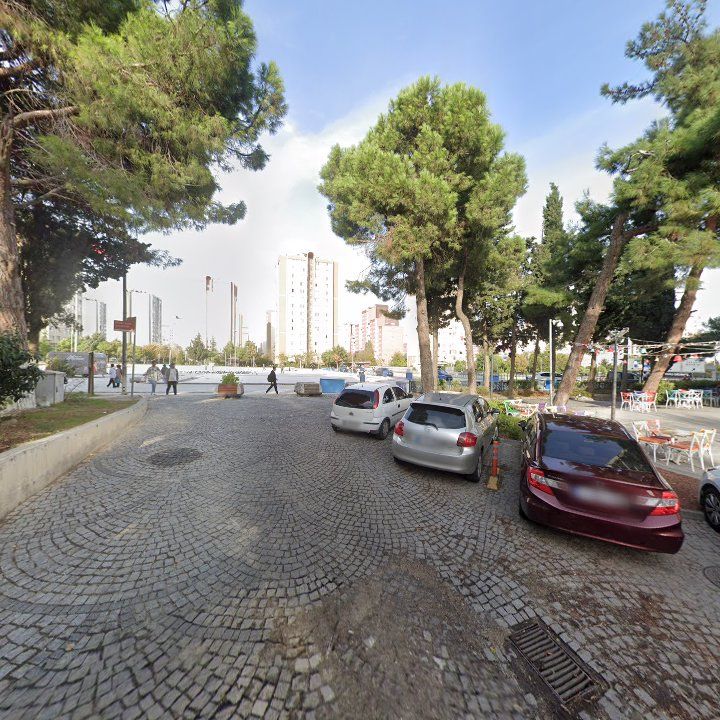 Fotoğraf 11