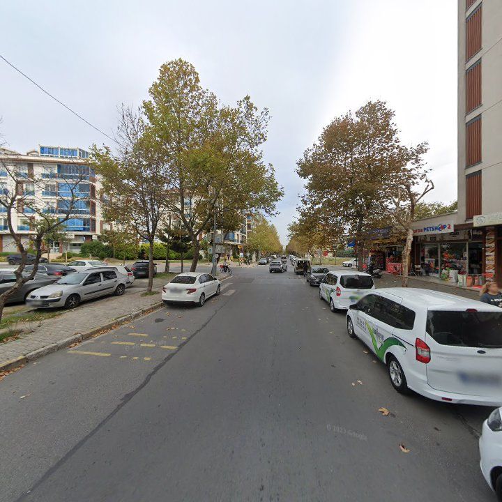 Fotoğraf 12