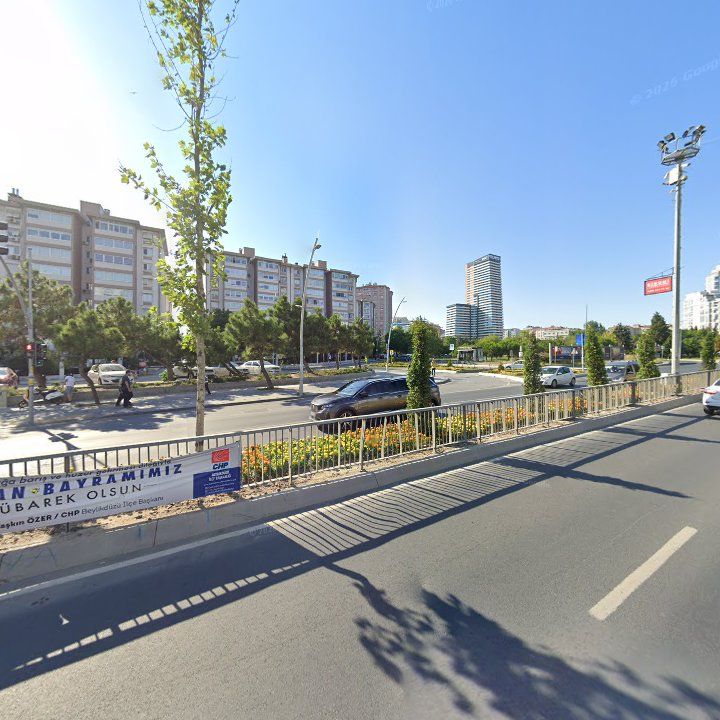 Fotoğraf 11