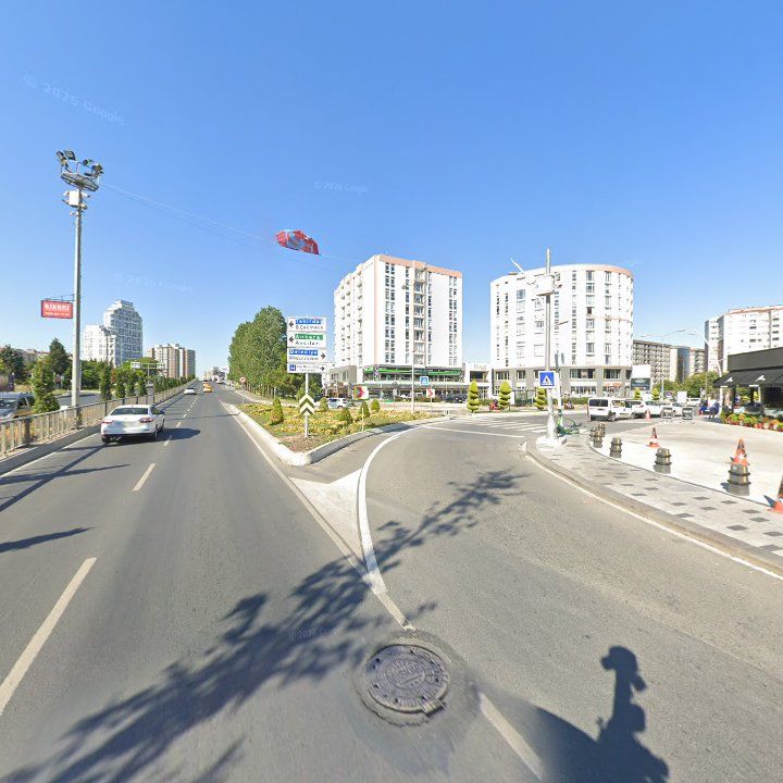 Fotoğraf 12
