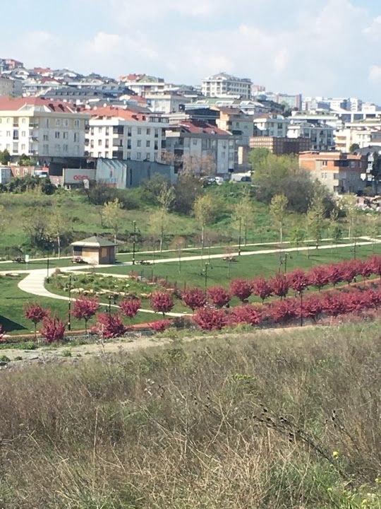 Kavaklı Sahil Mahallesi