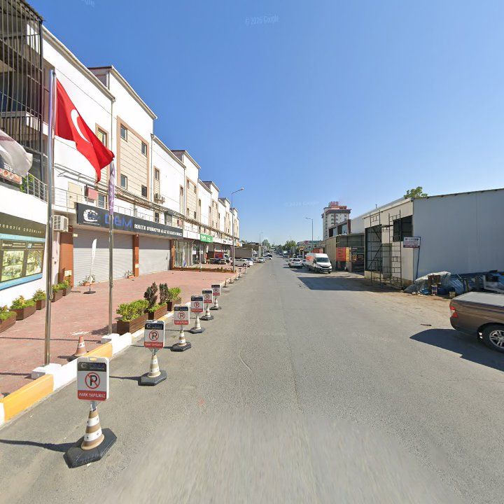 Fotoğraf 9