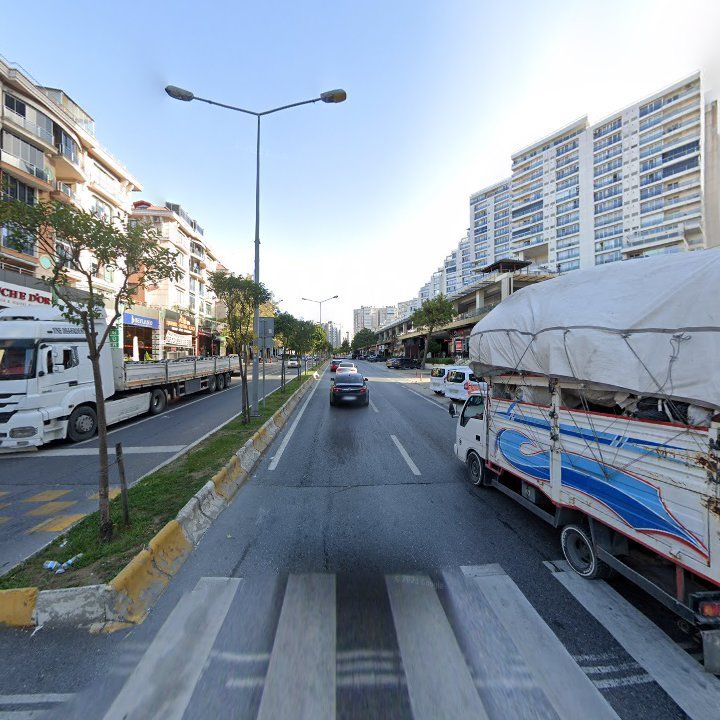 Fotoğraf 12