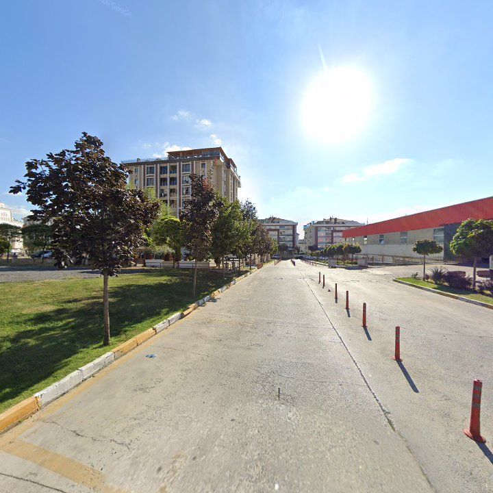 Fotoğraf 6