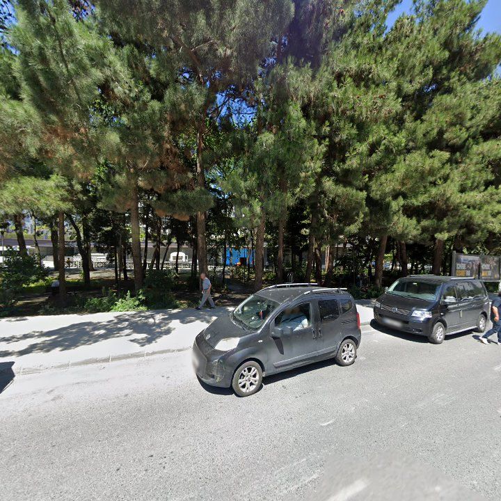 Fotoğraf 10