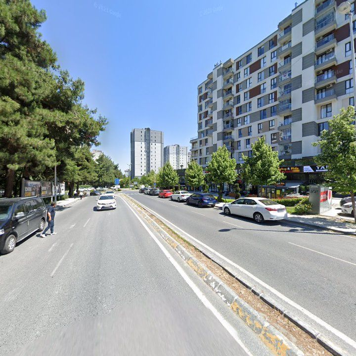 Fotoğraf 11