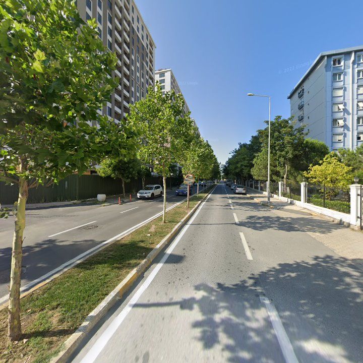 Fotoğraf 11