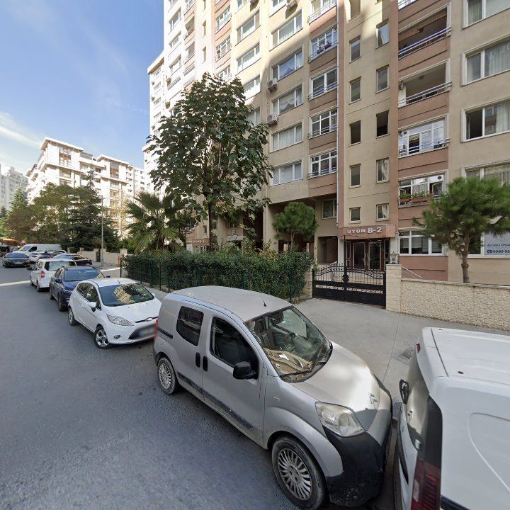 Fotoğraf 11