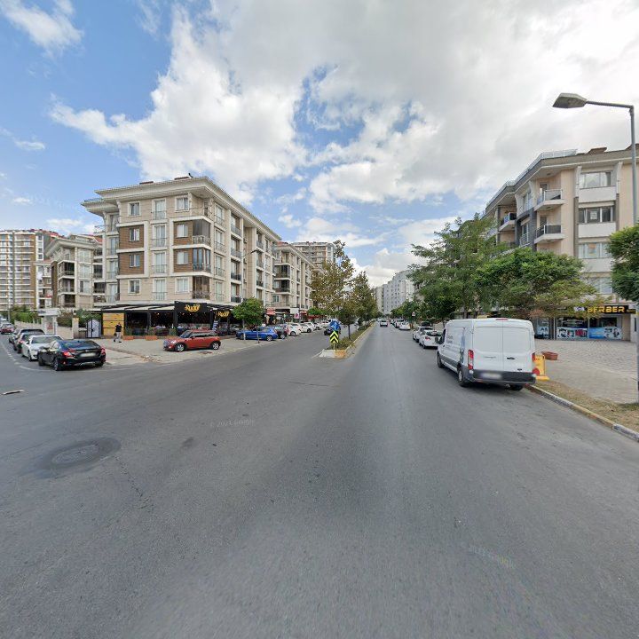 Fotoğraf 11