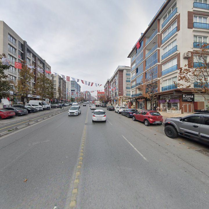 Fotoğraf 12