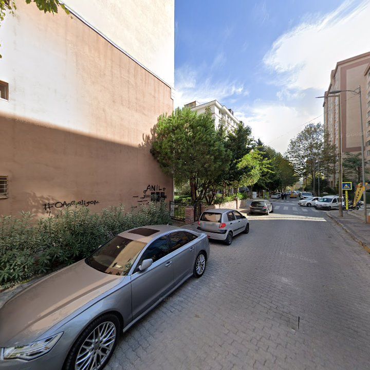 Fotoğraf 11