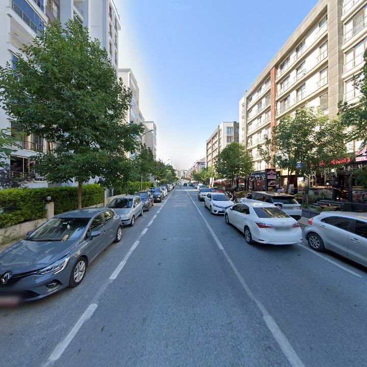 Fotoğraf 15