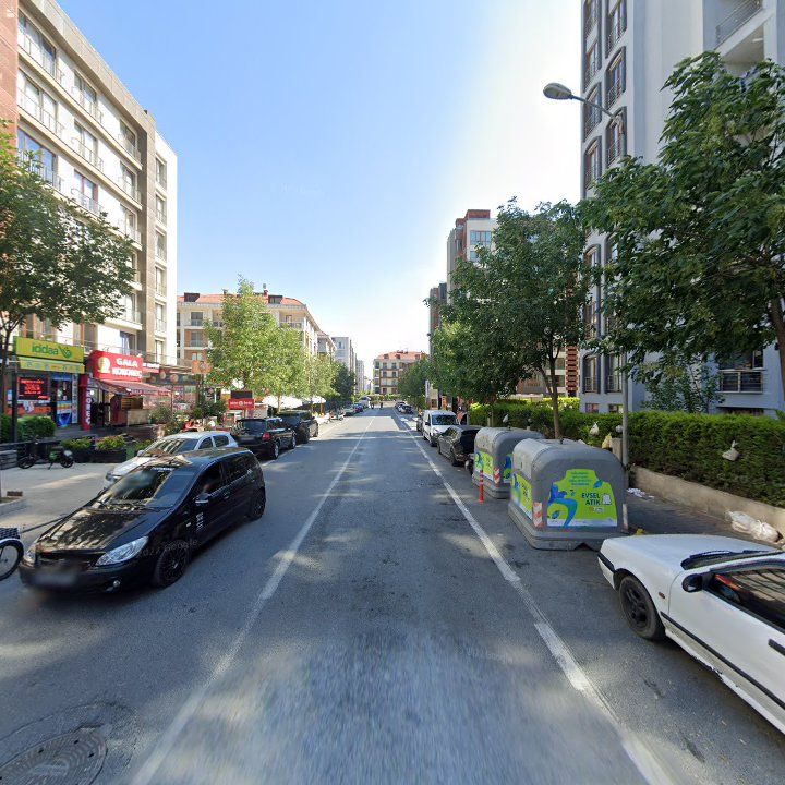 Fotoğraf 13