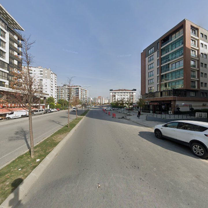 Fotoğraf 13