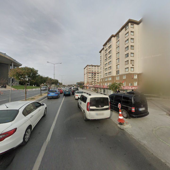 Fotoğraf 11