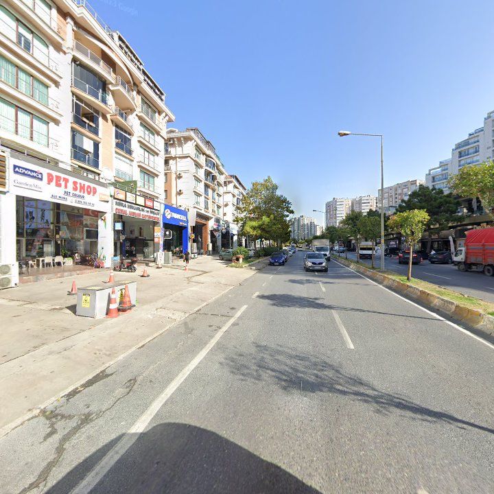 Fotoğraf 11