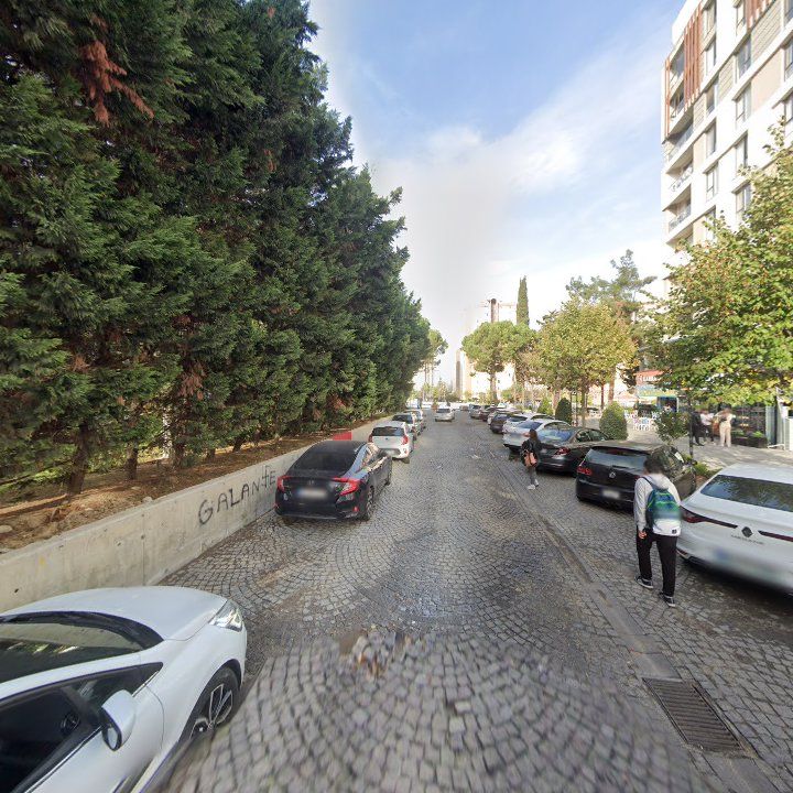 Fotoğraf 12