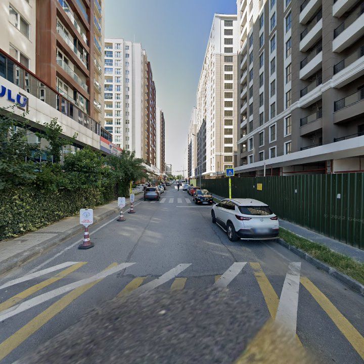 Fotoğraf 12