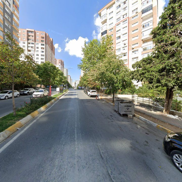 Fotoğraf 11
