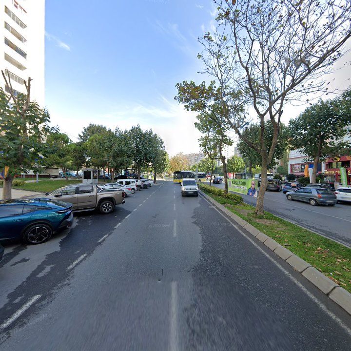 Fotoğraf 10