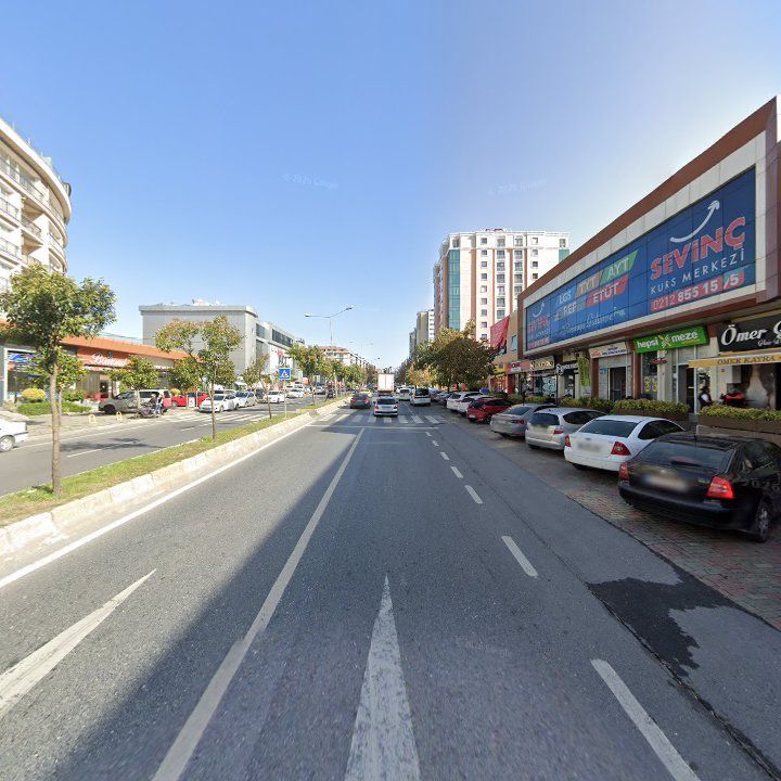 Fotoğraf 14